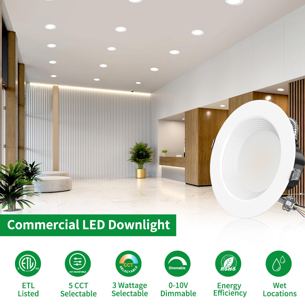 Synvolt Lighting 10 Inch Commercial Downlighting