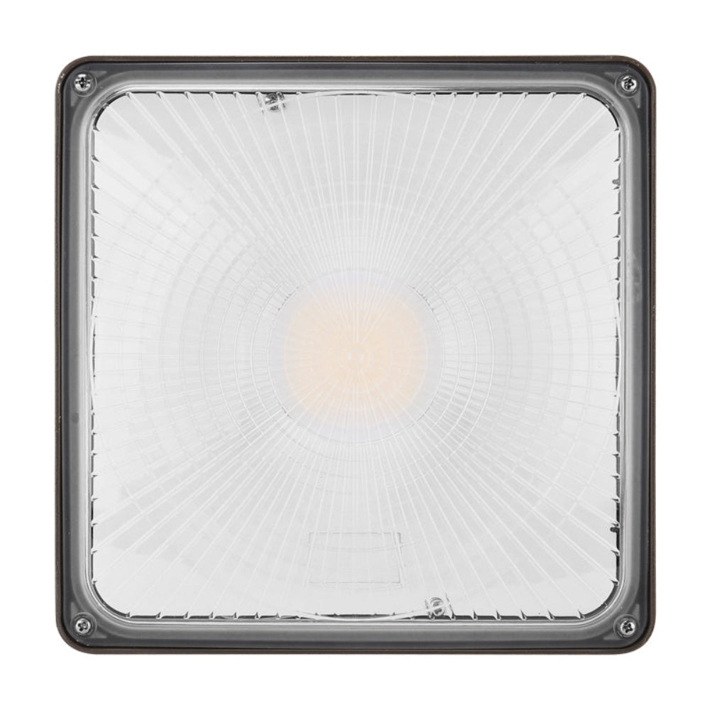 Synvolt Lighting Canopy Light
