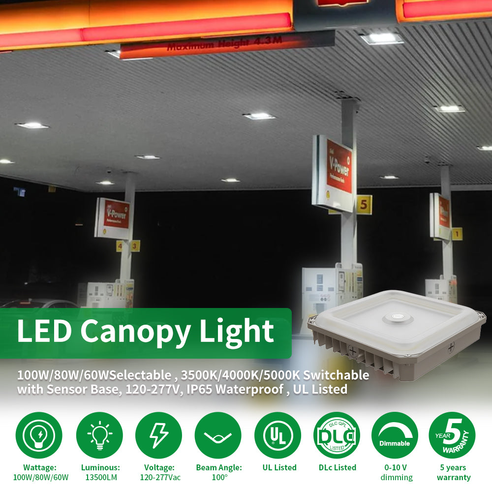 Synvolt Lighting Canopy Light