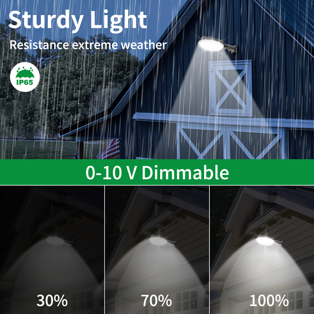 Synvolt Lighting LED Barn Light