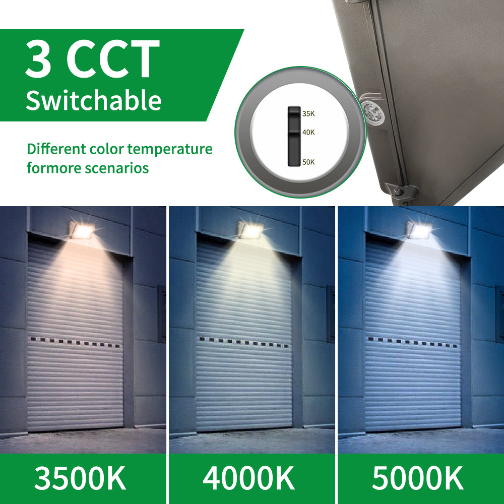 Synvolt Lighting Wall Pack Light
